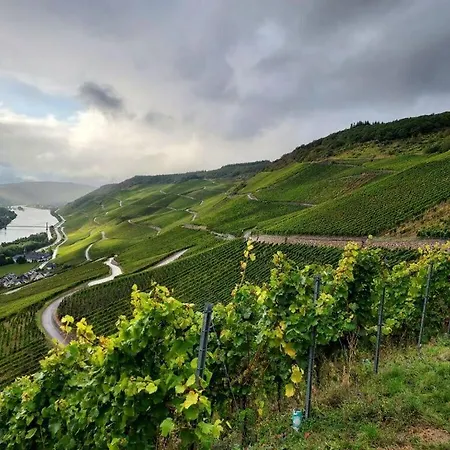 아파트 Falkenlay *