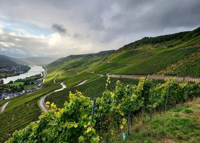 Apartment Falkenlay *