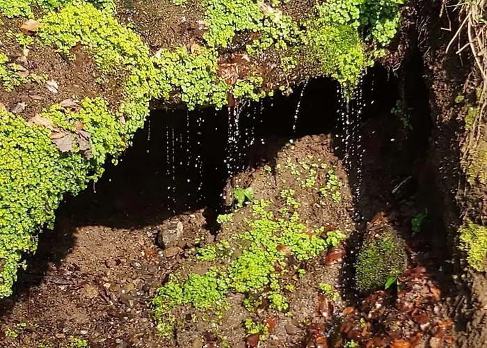 Falkenlay Apartment Kennfus