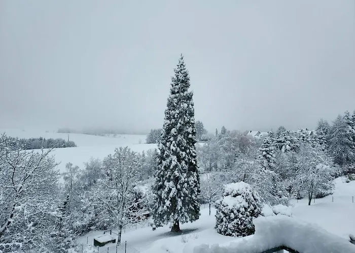 Apartment Falkenlay *